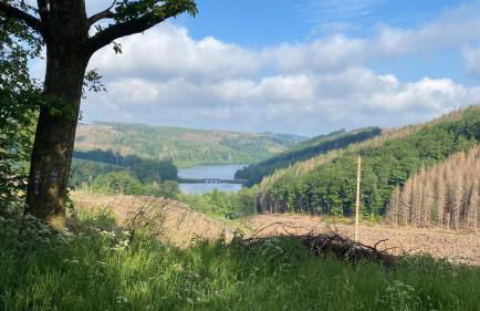 Vedders Berghütte - Foto 28