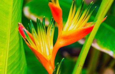 Royal Kahana 318 Studio Bedroom Condo by RedAwning - Foto 64