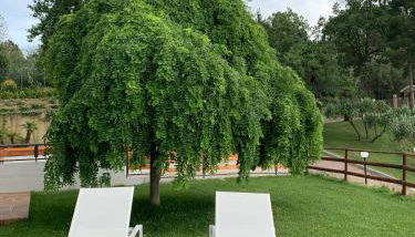 Agriturismo Tenuta Villa Catena - Foto 5