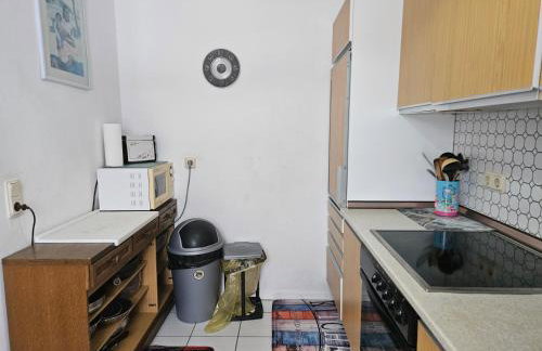 Appartements & Ferienwohnungen Wolf - Foto 25