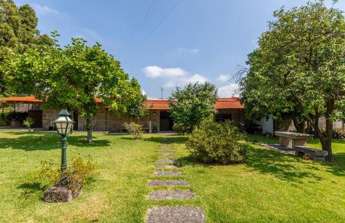 Casa do Lamaçal - Minho's Guest - Foto 70