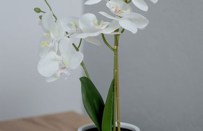 Apartment in Rzeszów by Renters - Foto 12