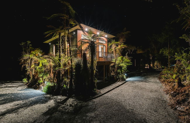 Rainforest Deluxe - Photo 30