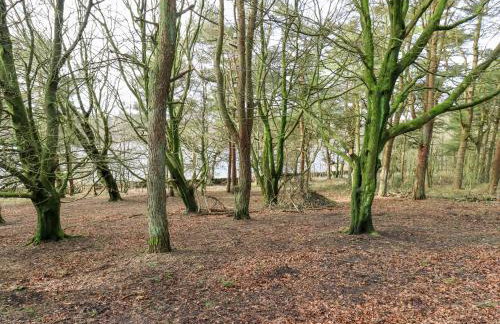 Rock Hollow - Foto 42