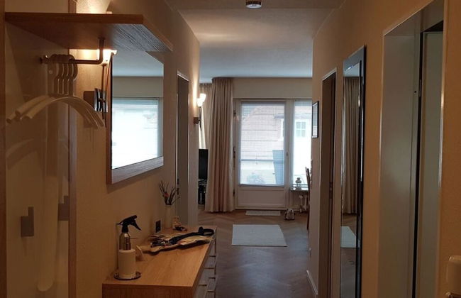 Herring Gull - Foto 10