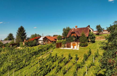 Holiday Home Wine & Relax Sveti Martin na Muri - Foto 1
