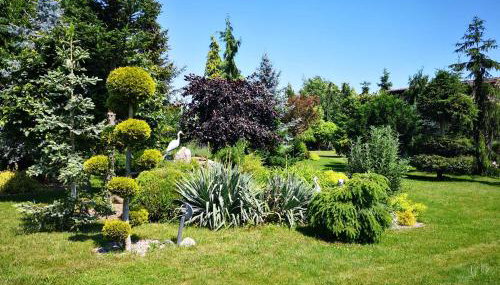 Oaza spokoju - Foto 5, Garden