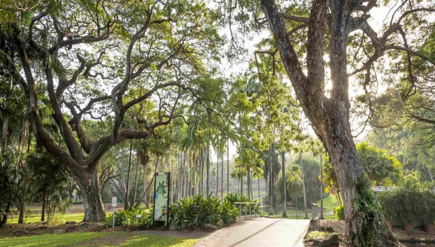 Entdecken Sie die Sehenswürdigkeiten von Darwin – Halbtagestour - Foto 3