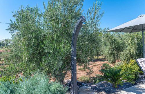 Irissa Suites - Foto 50