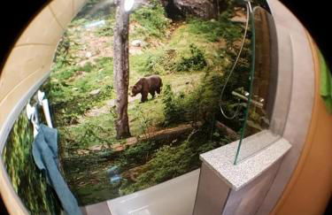 Bärenhöhle - Foto 7