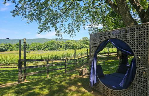 Vinewood Estate & Adventures - Foto 9