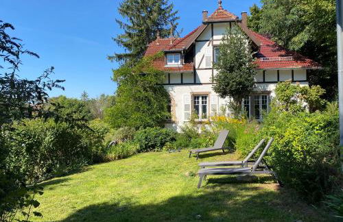 LA VILLA DES OISEAUX - La Petite Pierre - Foto 1