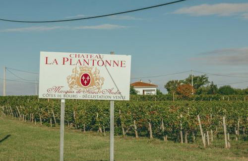 Bordeaux, Gironde, Océan - Gîte au coeur des vignes - Foto 21