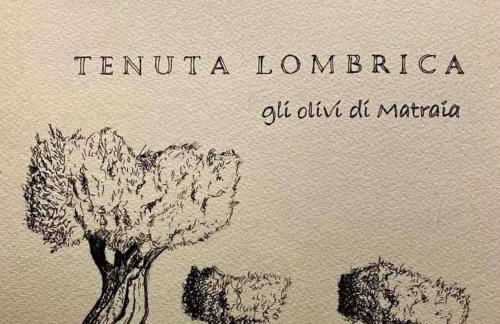 Tenuta Lombrica - Foto 24