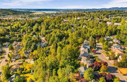 Bodur's Rustling Leaves, with BBQ, Fresh Air & Privacy - Foto 41