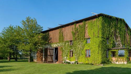 Rosenhagen in the Thorstorf estate barn - Foto 3, Other