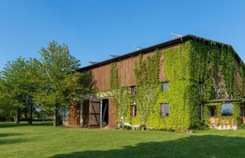 Rosenhagen in the Thorstorf estate barn - Foto 3