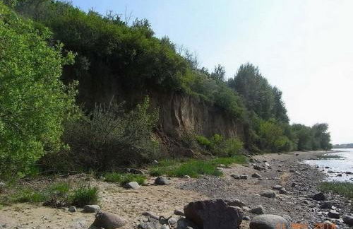 Muschelsucher - Sünnenkieker WE10 - ABC250 - nur Feriengäste! - Foto 14