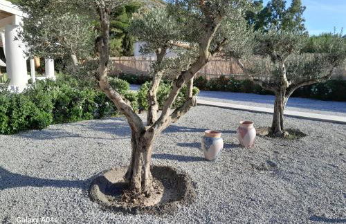 Teia Holiday Apartments - Foto 68