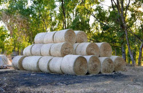 Agriturismo Vecchia Masseria Charme&Relax - Foto 114