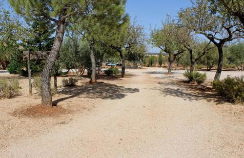 Casas Rurales el Palomar - Foto 17