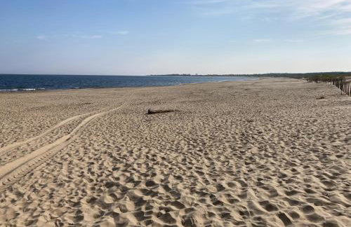 Sunny Sobieszewo - Photo 33