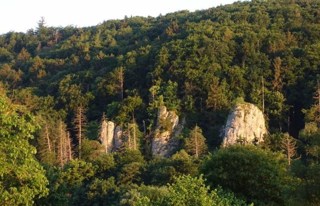 Homely Apartment with BBQ in Riedenburg Prunn near Forest - Foto 25