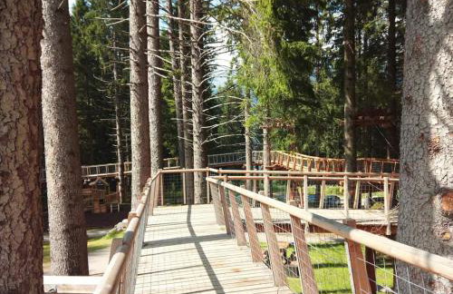 Sul cucuzzolo - Foto 50