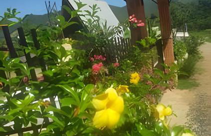 Chalé SOL com Piscina - Foto 46