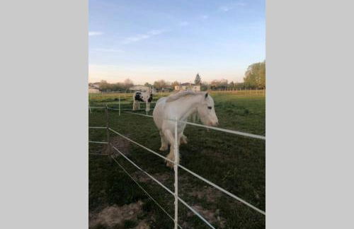 Le Cottage de Romas - Foto 29