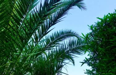 Villa Maria Apartments - Foto 80