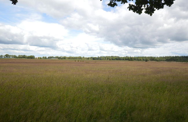 Restful Holiday Home in Lemele - Foto 32