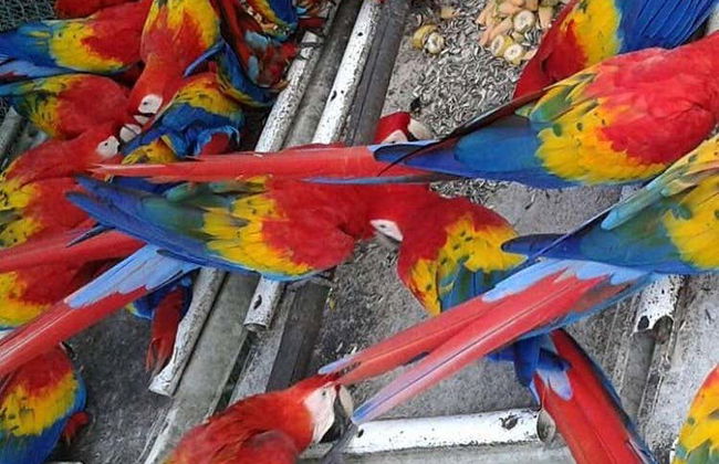 Aluxes Ecopark Trip - Foto 5