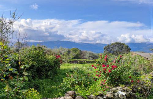 Tu Casa de Pueblo - Photo 36