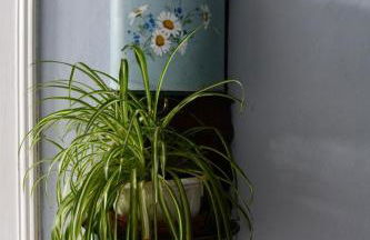 Etchevers-enia - Foto 34