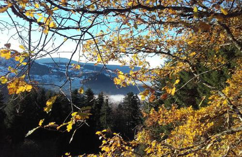 Charmant studio dans ferme avec terrasse et parking - montagnes des Vosges - FR-1-589-164 - Foto 7