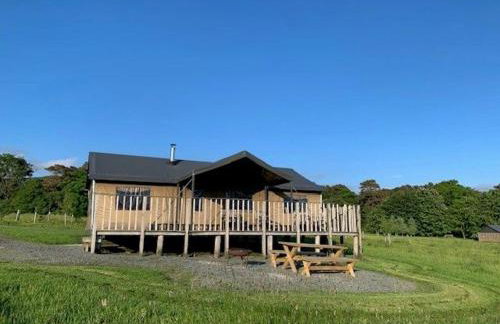 Redshank - Bleasdale - Foto 26