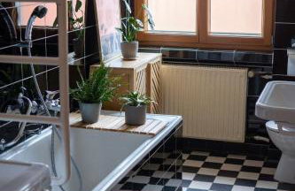 Ferienwohnung auf Biohof Gutso - Foto 19