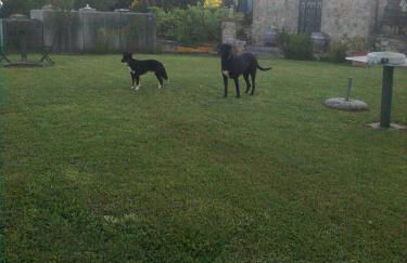 Agriturismo La Carletta - Foto 56