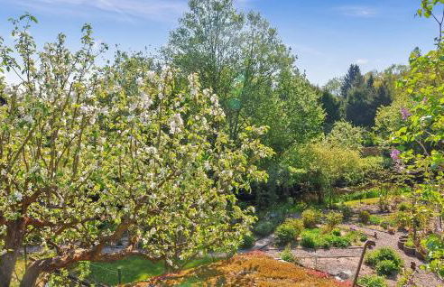 Ferienhaus Rheinsberg - Foto 10