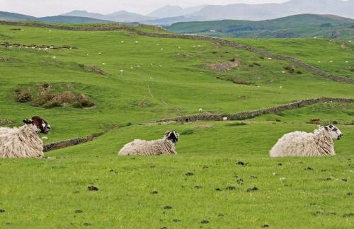 Combe Cairn - Foto 12