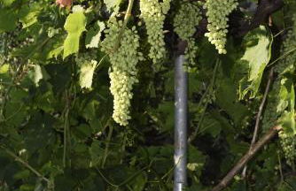 Elia Seaside Villa, Amazing 2-Story Eco Pool House! - Foto 57