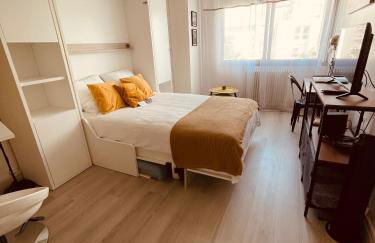 Studio-Champagne Lanson-Proche Hôpitaux-Universités-Parc Léo Lagrange - Foto 2