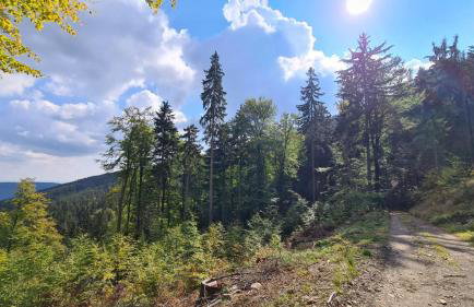 Domek na wzgórzu - Foto 31