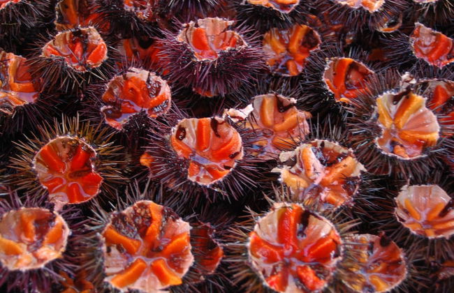 Villa Arja - Photo 29