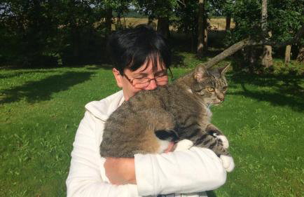 Apartamenty Pod Jesionem - Foto 17