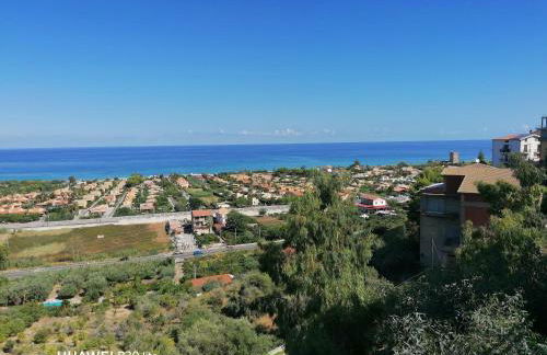 Stella marina - Foto 19