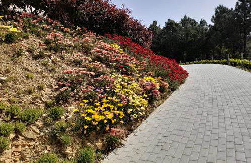 Quinta Manhas Douro - Foto 56