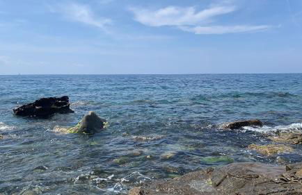 La finestra sul mare - Photo 29