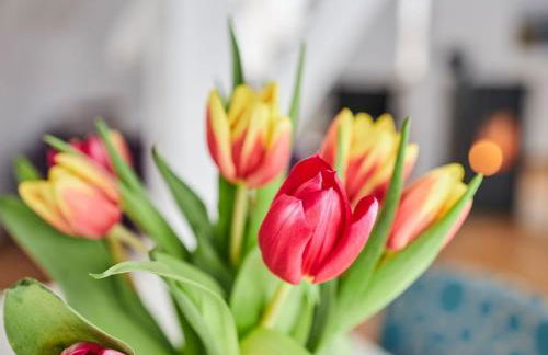 Holiday Home Komfortables Ferienhaus in purer Natur by Interhome - Photo 8